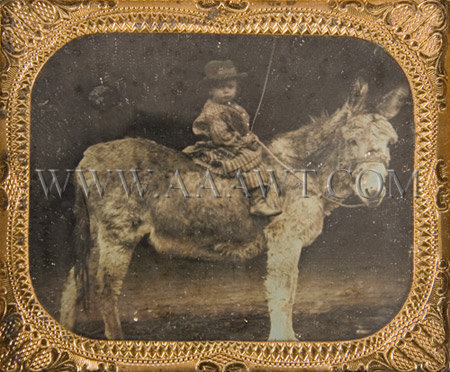 Ninth-Plate Daguerreotype
Boy on a Donkey, sans frame